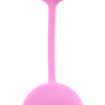 Комплект вагинальных шариков THE ALEXANDRA BEN WA BALLS  купить в секс шопе