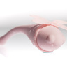 Розовый вибратор в форме стрекозы Liebelulla Rosa - 18 см. купить в секс шопе
