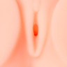 Мастурбатор-вагина без вибрации Cleo Vagina купить в секс шопе