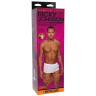 Коричневый фаллоимитатор Ricky Johnson со съемной присоской - 26 см. купить в секс шопе