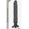 Черный вибратор на присоске Basecock Realistic Vibrator 2in1 - 20 см. купить в секс шопе