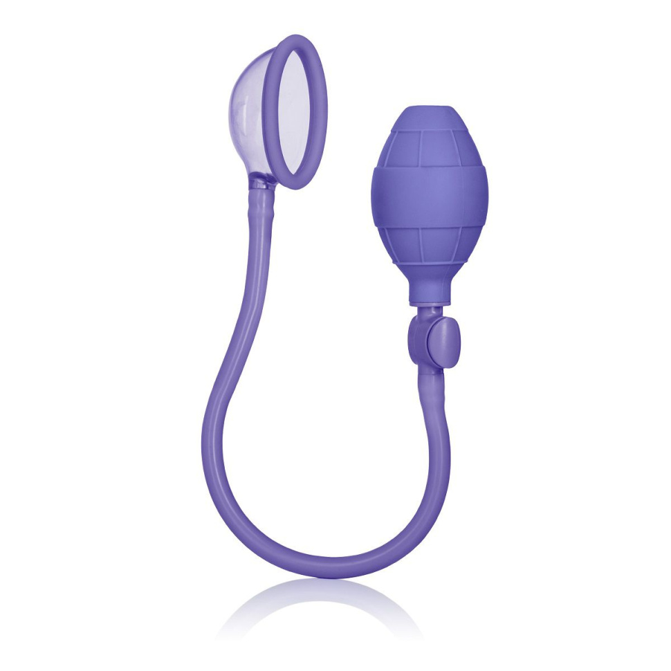 Фиолетовая помпа для клитора Mini Silicone Clitoral Pump  купить в секс шопе