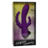 Фиолетовый вибромассажер-кролик Long Beach Bootylicious с анальной цепочкой купить в секс шопе